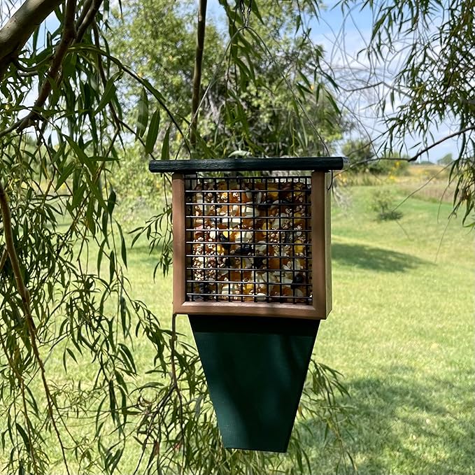 Songbird Essentials Tail Prop Suet Feeder - Recycled Plastic Bird Feeder with Coated Wire Cage for Bird Seed Cakes - Hunter and Driftwood