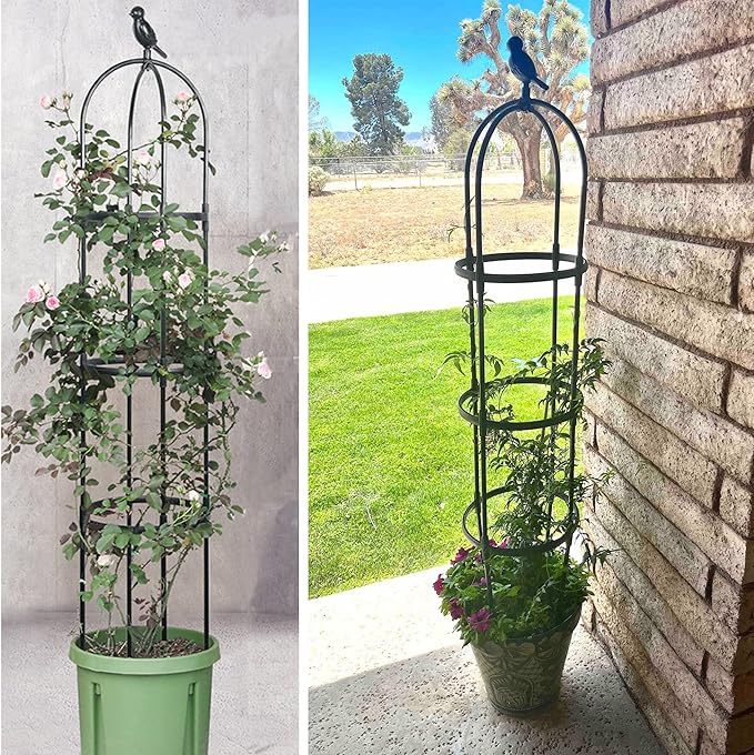 Garden Trellis for Climbing Plants, Rustproof Metal Pipe with Heavy Duty 6ft, Garden Outdoor Indoor Potted Plant Support(Black)