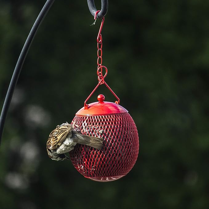 Backyard Expressions 3-Pack Metal Mesh Bird Feeders for Outdoors – Red, Blue & Yellow Squirrel-Resistant Hanging Feeders for Cardinals, Finches & Songbirds – Durable All-Weather Design
