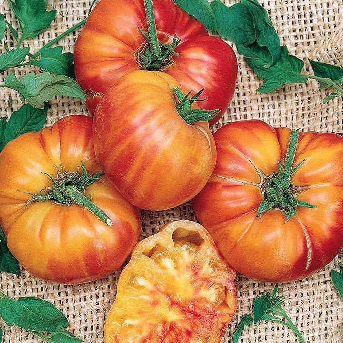 Burpee 'Mr. Stripey' Heirloom Tomato Seeds - Non-GMO, Indeterminate, Heirloom, Beefsteak Slicing Tomato, 30mg Seed Packet for Home Garden