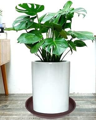 2 Pack of 10 inch Plant Saucer Gray, Heavy Duty Plastic Plant Saucer 10 inch Round, Durable Plant Tray for Pots, Plant Saucers for Indoors, Plant Trays for Planter 9"/10" (10", Chocolate)