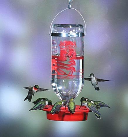 Best-1 Hummingbird Feeder Replacement Bottom