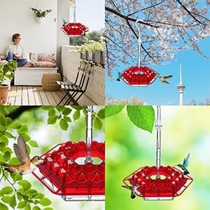 Sherem Hummingbird Feeders for Outdoors Hanging, 2026 New Shirem Hummingbirds Feeder with Ant Moat, Easy to Clean Bird Feeder for Gardens, Leak-Proof Design Outdoor Decor,Ant and Bee Proof