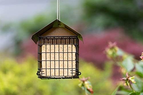 MEKKAPRO Suet Feeder for Outside Hanging Metal Roof, Woodpecker Feeder, Two Suet Bird Feeder Capacity, Cage Hanger Hanging Bird Feeder Easily Fits 2 Suet Cakes Holder - Wild Bird Feeder Basket