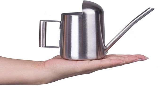 IMEEA Tiny Watering Can for Indoor Plants Bonsai Tree Stainless Steel Small Watering Can Succulents, 11oz/300ml