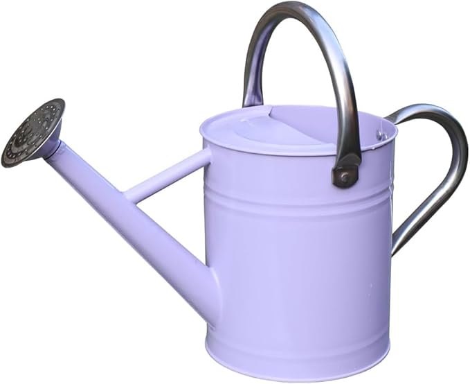 Metal Watering Can 1 Gallon with Removable Spout, Ideal Plant Watering Can for Indoor and Outdoor Plants (1 Gallon Purple)