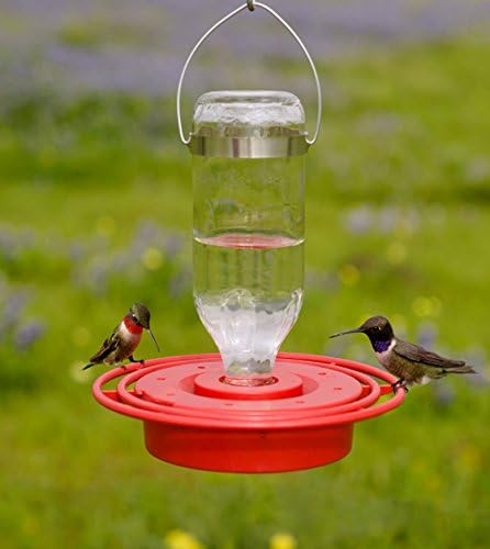 Best-1 Hummingbird Feeder Replacement Bottom