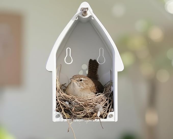 Bird House for Outside Clearance, Bird House for Outside, Composite Material Wren House, Water Proof Wall Tree Window Multi-moutable for Viewing Inside,, 10 Years Performance, White 1.25" Hole