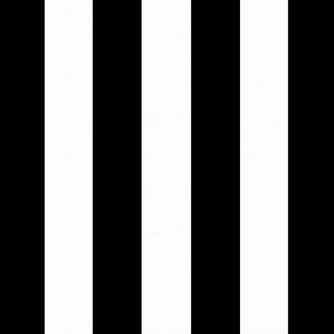 Arden Outdoor Loveseat Cushion Set, 48 x 24, Water Repellent, Fade Resistant, Cushion Set for Couch, Bench, and Swing, Black Cabana Stripe