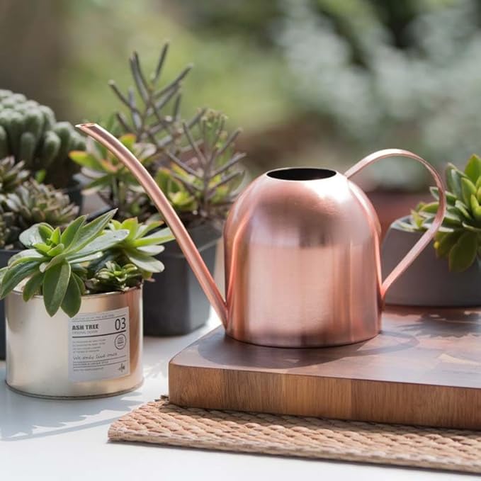 Stainless Steel Water Can for Indoor Plants and Garden (Rose Gold 50 oz)