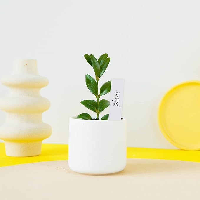 KINGLAKE GARDEN 200PCS 4 Inch Plastic Plant Labels Plant Name Tags,Colorful Garden Marker Vegetable Gardening Tags Nursery Plant Tag for Outdoor Garden Waterproof with Permanent Marking Pen