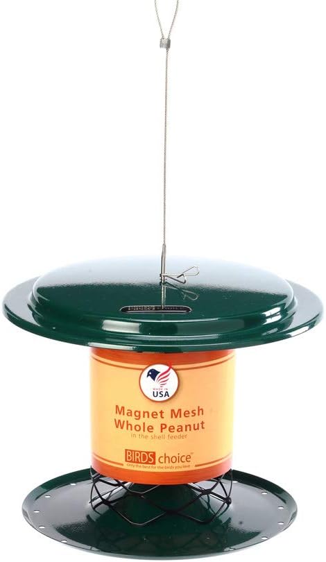 Birds Choice XWPF Magnet Mesh Whole Peanut in the Shell Feeder, Peanut and Suet Nugget Bird Feeder, 2 Quarts, Green
