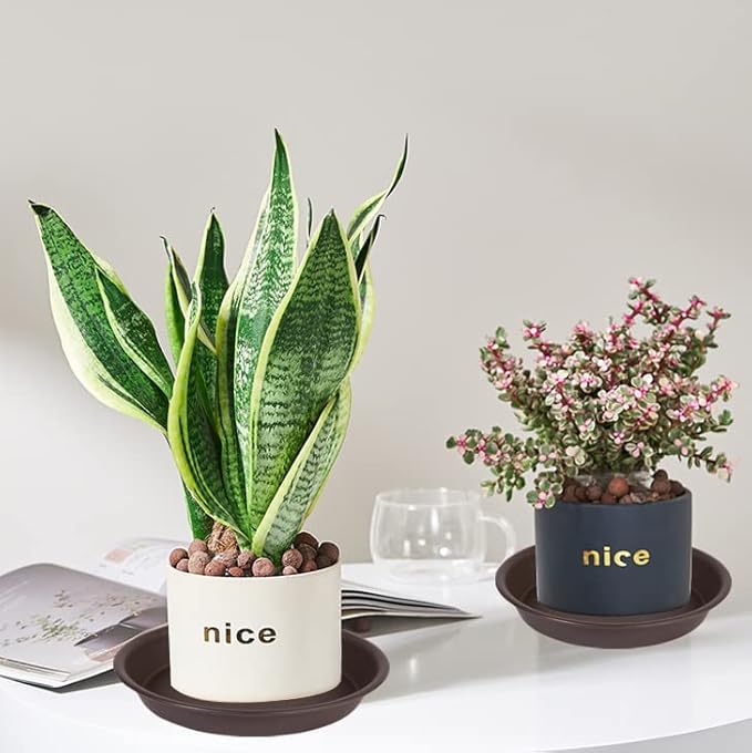 8 inch Plant Saucers (6.9 Inch Base), 6 Pack of Heavy Duty Plant Water Tray 8", Plastic Flower Pot Saucers for Indoors Round, Plant Trays for Indoors No Holes for Planter 7-9" (8 inch, Brown)