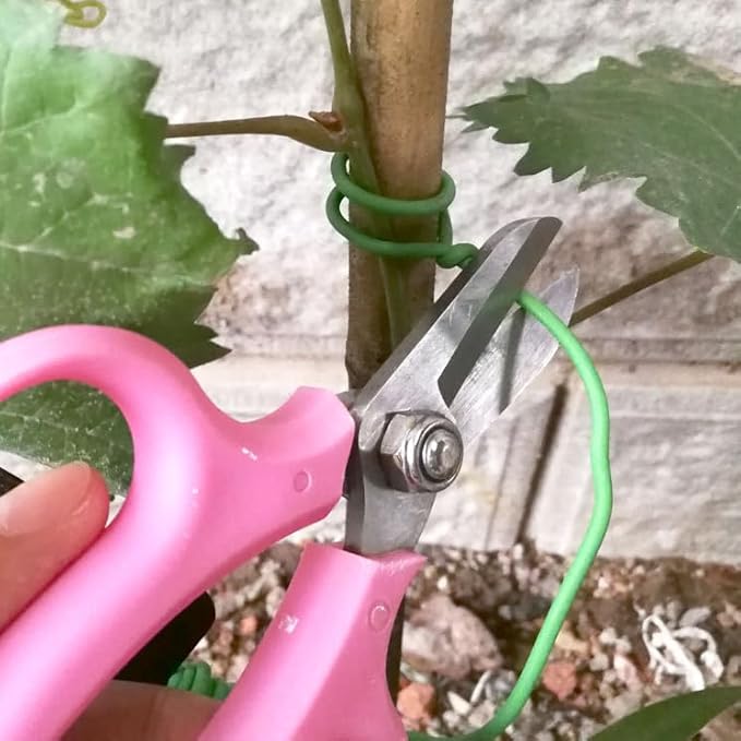 Soft Plant Tie for Plant Support, Φ3.5mm 164ft Reusable Garden Twist Ties Heavy Duty Garden Wire Green Plant Twist Tie for Plant Vines, Stems & Stalks and Home Organization