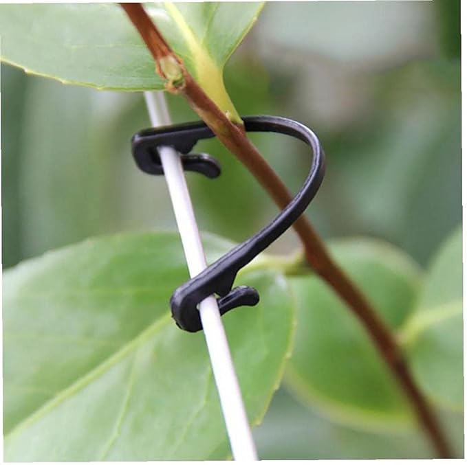 300PCS Grape Vine Trellis Clips - Compatible with Raspberry Canes, Kiwi, Grapevines, Plant Support Ties, Garden Training Buckles & Hooks