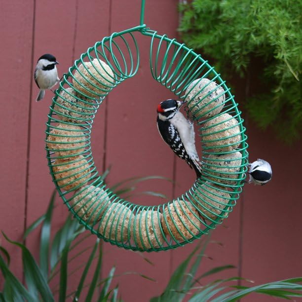 Smorgasbug Suet Balls (12 Balls)