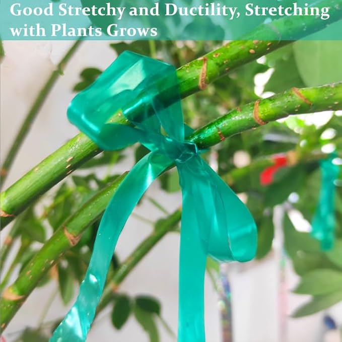 Stretch Tie Tape Roll - 2 Pack Total 300 Feet 1/2" Non-Adhesive Garden Staking Tie Roll Thick Sturdy Stretchable Garden Plant Tape Green Vinyl Plant Ribbon for Tomatoes, Grapes, Flowers and Trees