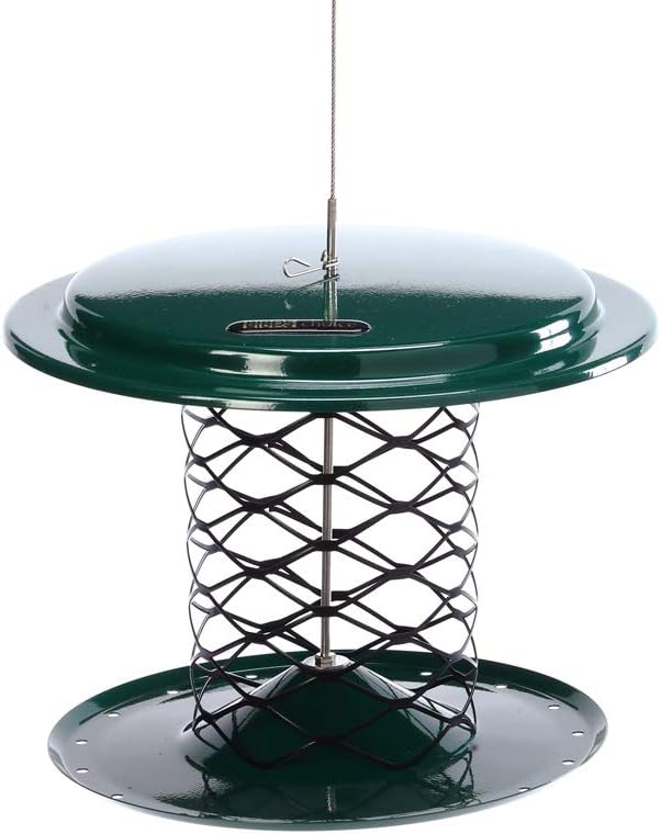 Birds Choice XWPF Magnet Mesh Whole Peanut in the Shell Feeder, Peanut and Suet Nugget Bird Feeder, 2 Quarts, Green