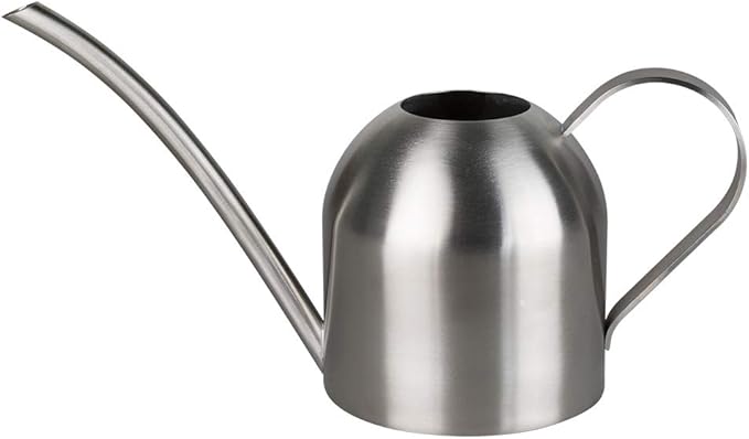 Stainless Steel Water Can for Indoor Plants and Garden (30 oz)