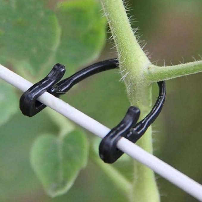300PCS Grape Vine Trellis Clips - Compatible with Raspberry Canes, Kiwi, Grapevines, Plant Support Ties, Garden Training Buckles & Hooks