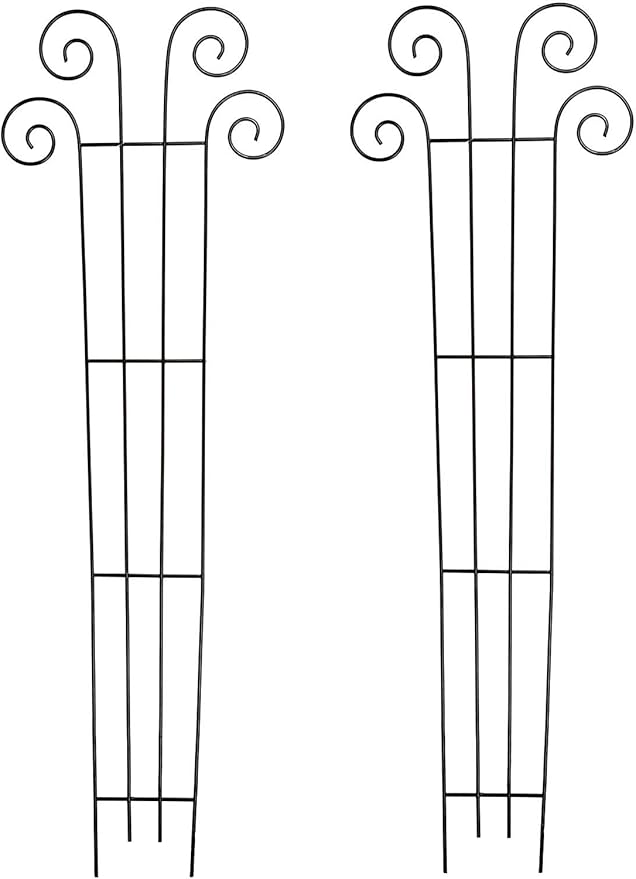 Hosley's 48" High Set of 2 Wave Iron Trellis Ideal Gift for Floral Arrangements Wedding or Party and Use Next to Structures Home or Office or in Planters for Growing Floral Plants Vines and Vegetables