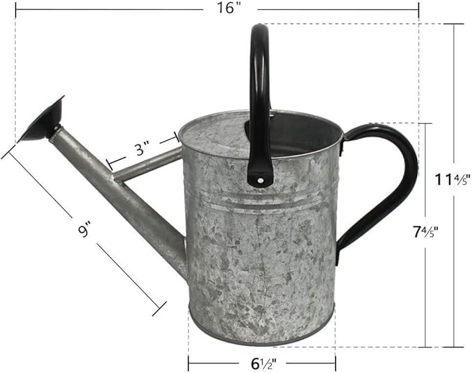Metal Watering Can 1 Gallon with Removable Spout, Ideal Plant Watering Can for Indoor and Outdoor Plants (One Gallon Silver Black)