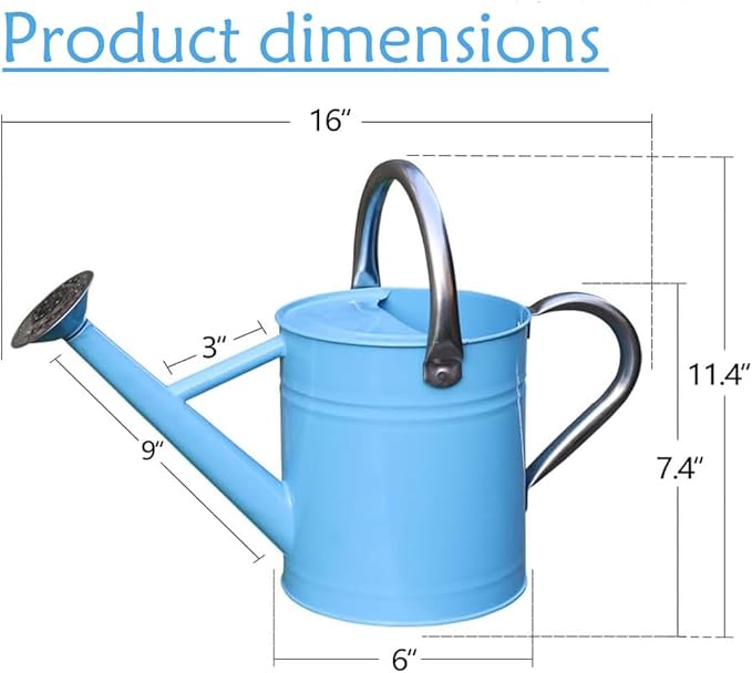 Metal Watering Can 1 Gallon with Removable Spout, Ideal Plant Watering Can for Indoor and Outdoor Plants (Blue 1 Gallon)