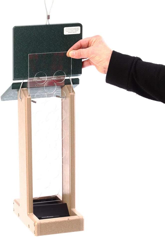 Birds Choice Whole Peanut Bird Feeder for Blue Jays and Woodpeckers - Durable Recycled Material, Taupe w/ Green, 7"L x 10.50"W x 14.75"H, Made in USA