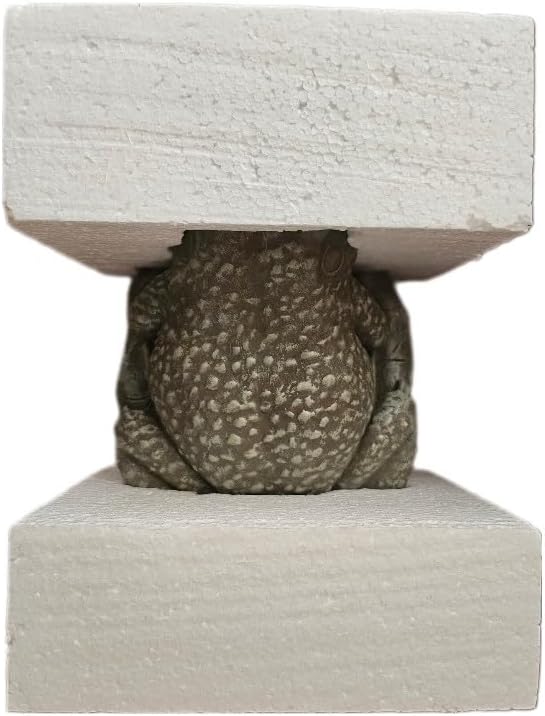 Frog Pond Water Spitter Aerator