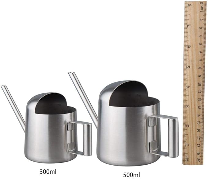 IMEEA Tiny Watering Can for Indoor Plants Bonsai Tree Stainless Steel Small Watering Can Succulents, 11oz/300ml