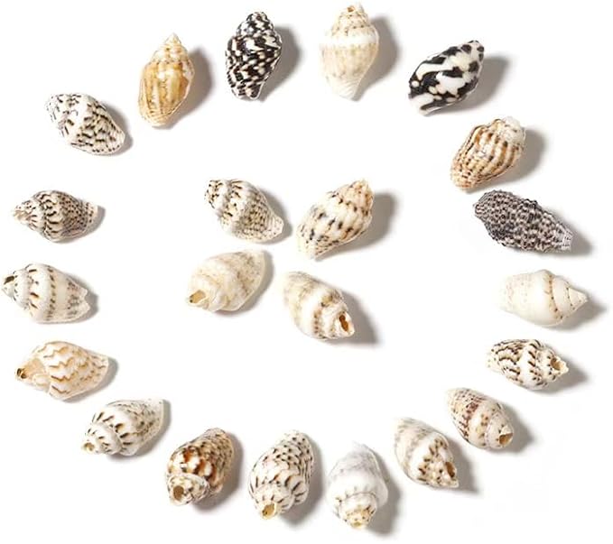 30Pcs Tiny Sea Shell Ocean Beach Spiral Seashells Craft Tiny Miniature Fairy Garden Beach Critter Seashells Beach Theme Party Wedding Decor Mini Conch Home Décor Products