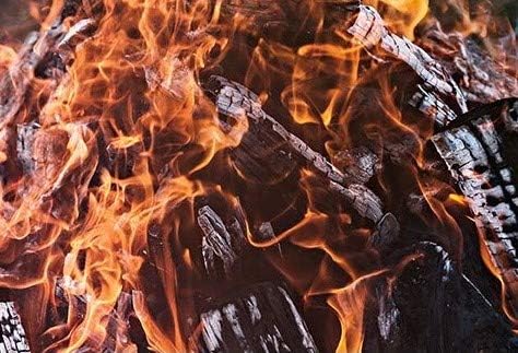 Smoak Firewood - Kiln Dried Premium USDA Certified Mixed Hardwood Kindling - Rough Cut (8in Pieces) 18-22lbs