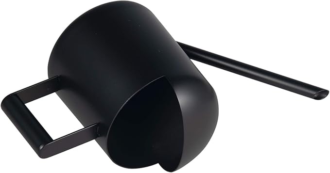 IMEEA Mini Watering Can for Indoor Plants Stainless Steel Small Watering Can 11oz/300ml