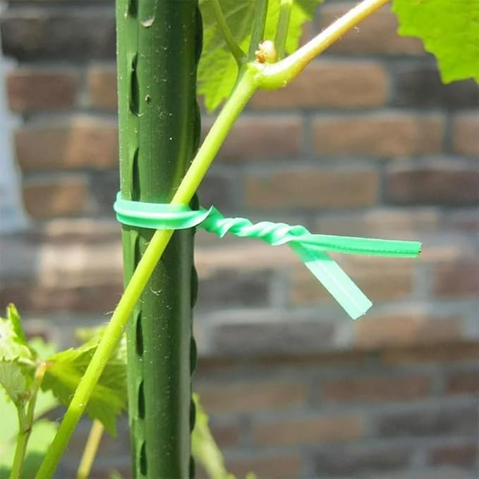 Rocky Mountain Goods Twist Ties for Plants - 100 Pack 8” Garden Twist Ties for Climbing Plants, Outdoor, Indoor, Flowers, Vines - Reusable Green Plant Wire