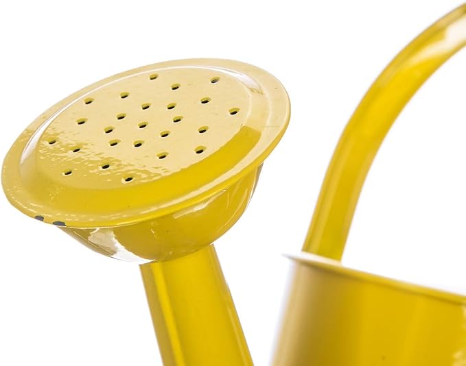 Topadorn Watering Can for Plants, 55 Oz Metal Watering Can with Removable Spout for Indoor & Outdoor Plants, Long Spout Garden Watering Can, Yellow