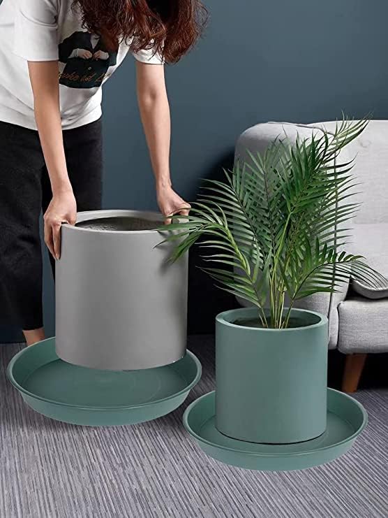 2 Pack of 8 inch Plant Saucer Clear, Heavy Duty Plastic Plant Water Tray 8 inch Round, Flower Plant Saucers for Indoors No Holes, Plant Dishes Saucer for Planter 7"/8" (8", Green)