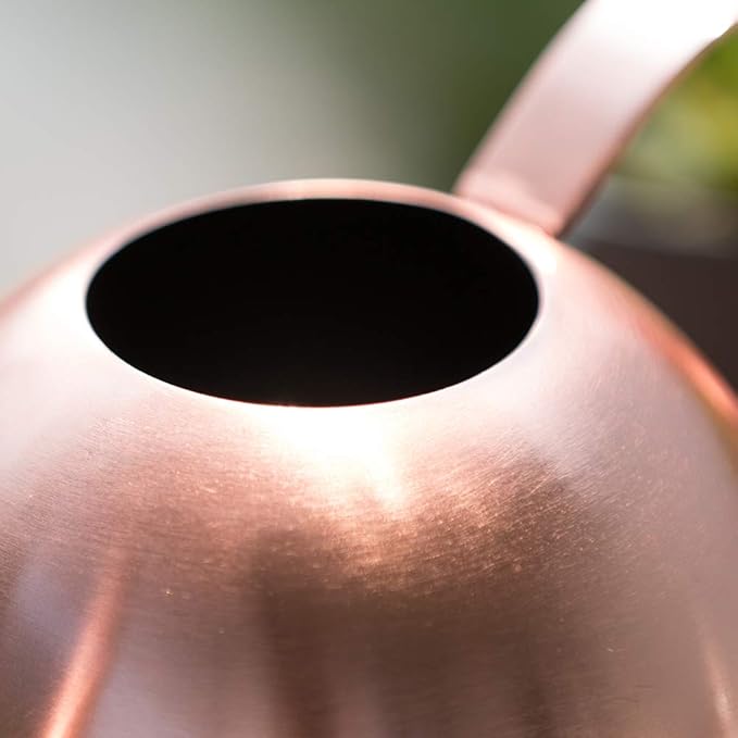 Stainless Steel Watering Can for Indoor Plants – Long Spout, Gentle & Even Watering, Precision Plant Water Can, Rose Gold 30 oz | E.Palace