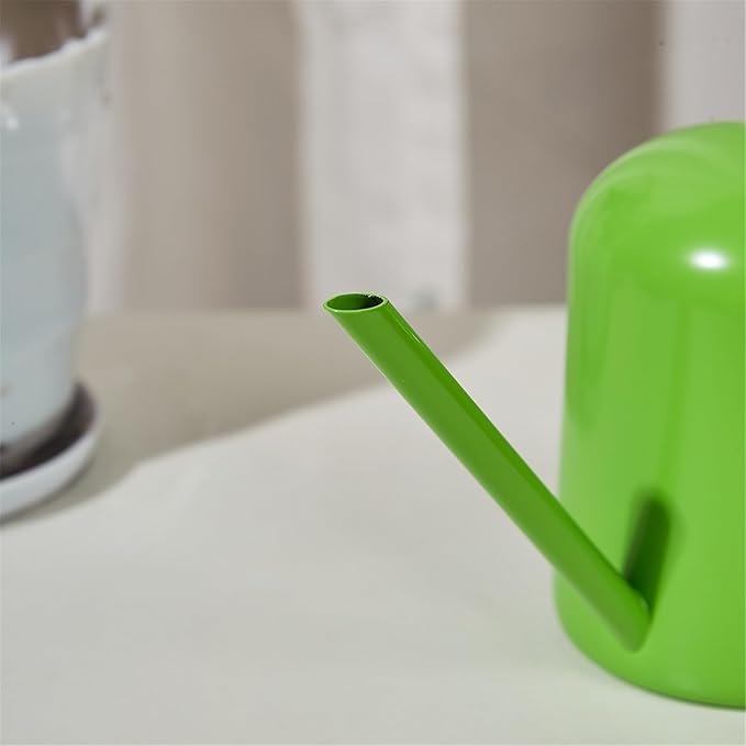 Watering Can for Indoor Plants, Small Watering Cans Sprinkling Pot for Greenhouse Garden Flower Plants, Stainless Steel Long Spout Water Can for Outdoor Watering Plants, 300ML/0.08 Gallon (Green)