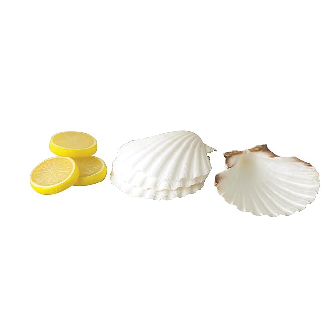Maine Man Natural Baking Shells, Harvested From Ireland And Scotland, For Baking, Seafood, Appetizers, And Desserts, 4-Inch, Set of 4
