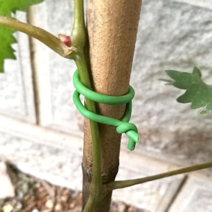 Soft Plant Tie for Plant Support, Φ3.5mm 164ft Reusable Garden Twist Ties Heavy Duty Garden Wire Green Plant Twist Tie for Plant Vines, Stems & Stalks and Home Organization