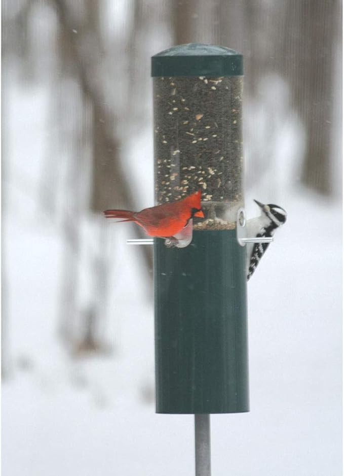 Birds Choice Classic Squirrel Proof Bird Feeder with Pole Mount | Tube Bird Feeder for Cardinals, Chickadees, Woodpeckers | Sturdy Steel for Long-Lasting Use | Backyard Bird Seed Dispenser | Green