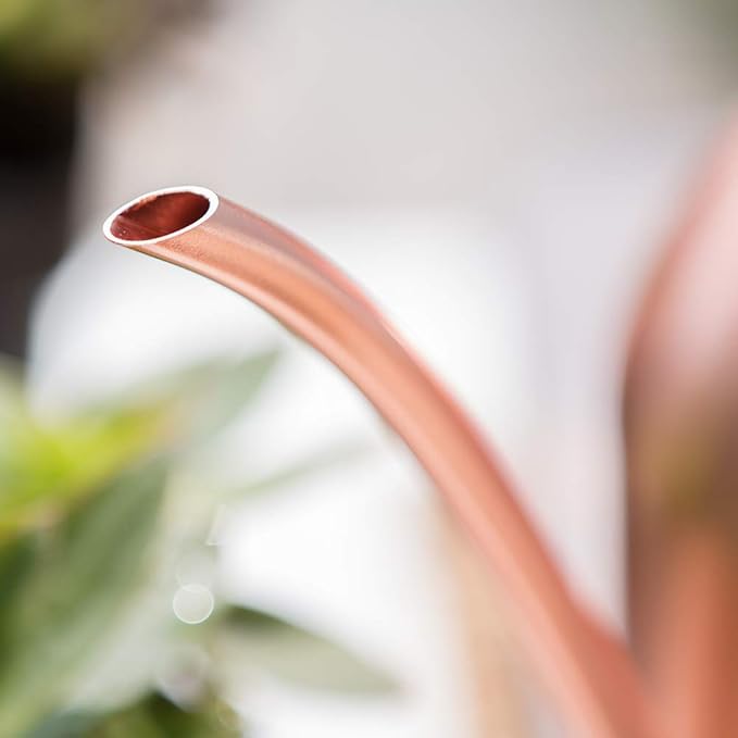 Stainless Steel Watering Can for Indoor Plants – Long Spout, Gentle & Even Watering, Precision Plant Water Can, Rose Gold 30 oz | E.Palace