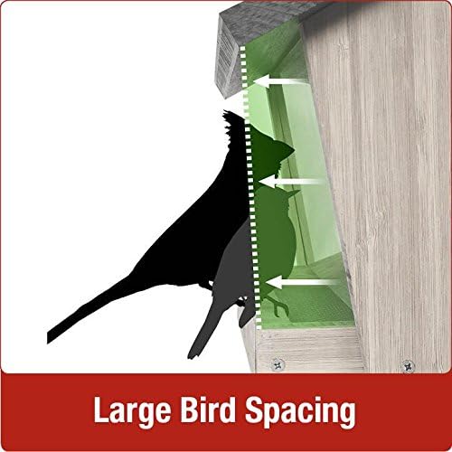 Nature's Way CWF19 Cedar Hopper Bird Feeder with Suet Cage, 6-Quart