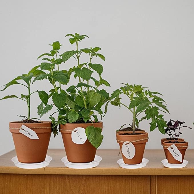 6 Pack of 10 inch Plant Saucer, Heavy Duty Plastic Plant Saucer 10" Round, Durable Plant Tray for Pots, Plant Saucers for Indoors, Plant Trays for Planter 8"/9"/10" (10 inch, Creamy White)