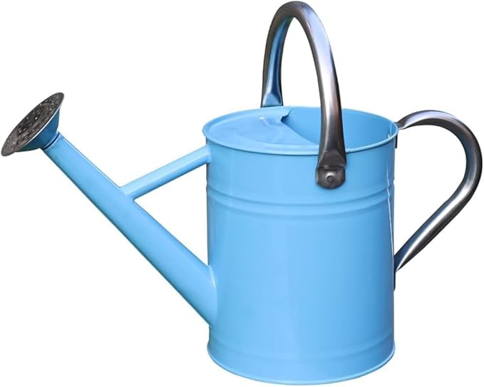 Metal Watering Can 1 Gallon with Removable Spout, Ideal Plant Watering Can for Indoor and Outdoor Plants (Blue 1 Gallon)