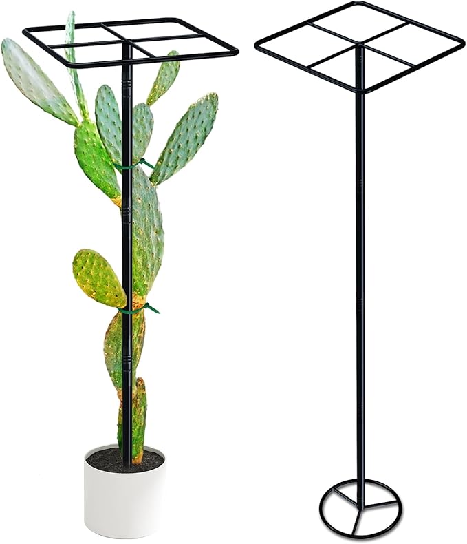 63'' Metal Dragon Fruit Trellis, Adjust Durable Dragon Fruit Plant Trellis Support Garden Fruit Stand for Vertical Climbing Plants Trees Cactus Roses Vines Outdoor Indoor,1 Pcs