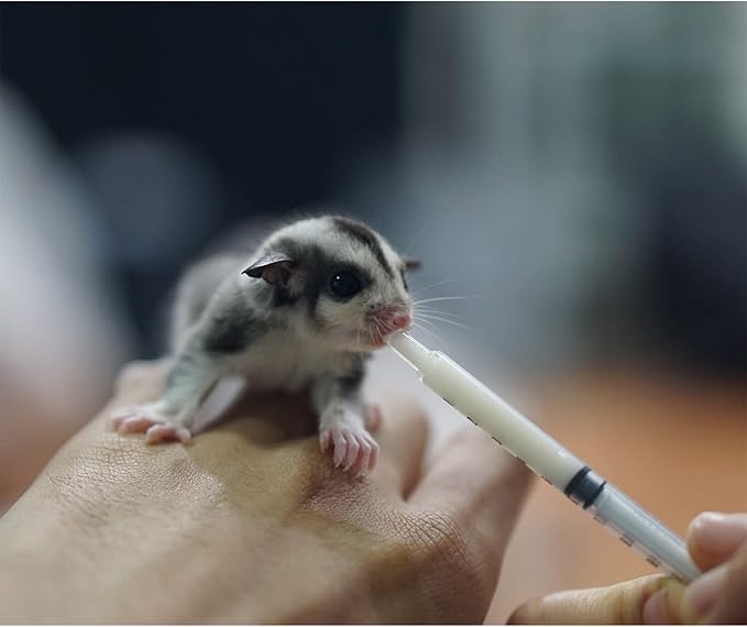 Exotic Nutrition Baby Squirrel Nursing Set (Expanded) - Milk Replacer, Feeding Syringes