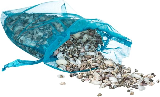 Tiny Miniature Fairy Garden Sea Shell Assorted Mix | Tiny Small Sea Shells for Craft and Decoration | Plus Free Nautical Ebook by Joseph Rains (16 Ounces, 1,500+)