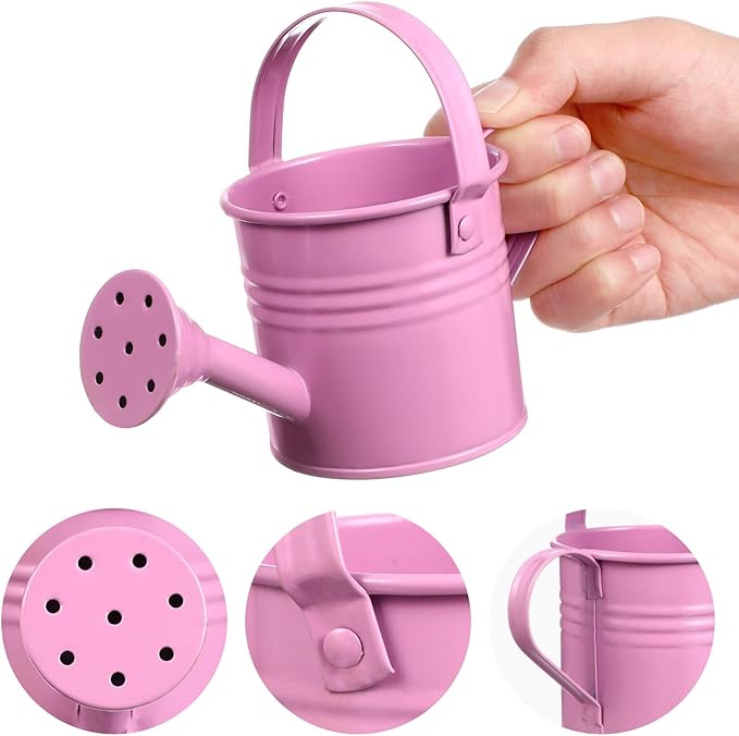 6PCS Kids Metal Watering Can Indoor Plants Small Watering Can for Indoor Plants Mini Gardening Tool Tiny Kettle for Gardening