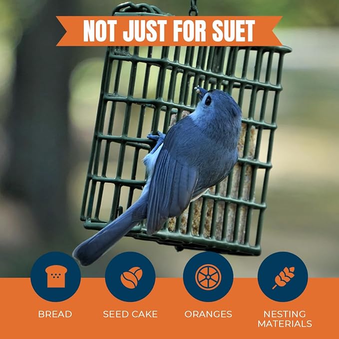 MEKKAPRO Suet Wild Bird Feeder with Hanging Metal Chain, Double Delight Suet Feeder with Metal Chain, Dual Capacity, Weather-Resistant Hanging Bird Feeders (Dual Pack)